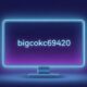 Bigcokc69420